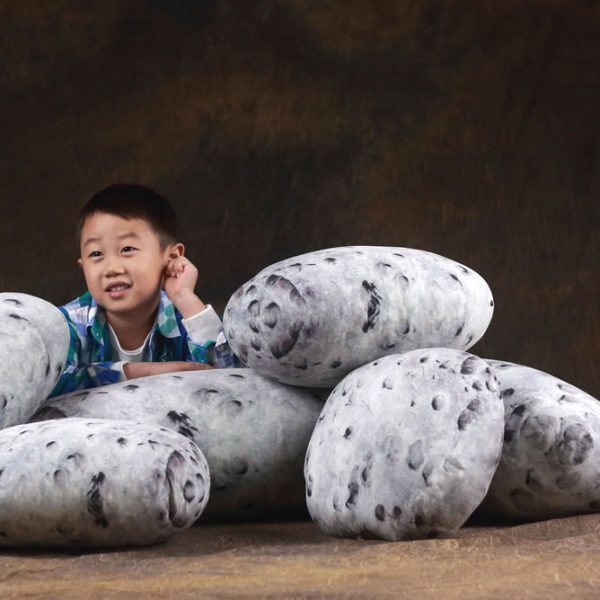 pebble cushions rock pillows 9036